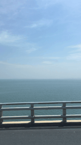 43ad3a6c-a2c9-4497-a3f8-3ddab26a3b4f.gif