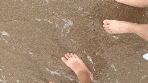 2.gif